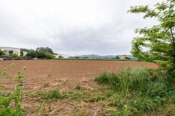 Teren construibil 6.620 mp în Polystylo, Kavala anunturi imobiliare Grecia