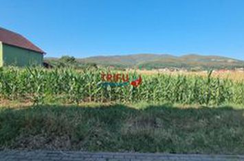 Teren Intravilan de vanzare CENTRAL - Alba anunturi imobiliare Alba