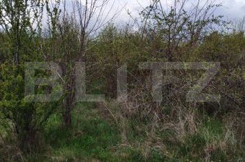 Teren de vanzare TARGOVISTE - Dambovita anunturi imobiliare Dambovita