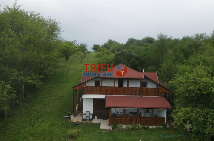 Casă - 5 camere de vanzare CETATE - Alba anunturi imobiliare Alba
