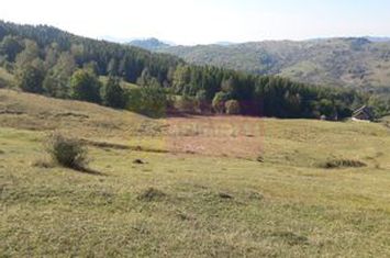 Teren intravilan de vanzare in Breaza (dezvoltare imobiliara) anunturi imobiliare Prahova