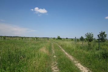 Domnesti Teghes-Caminului anunturi imobiliare Bucuresti