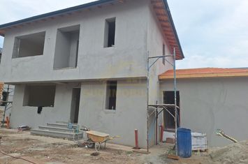 CASA INDIVIDUALA P+1+POD-TEREN 350 MP-MIRASLAU anunturi imobiliare Bucuresti