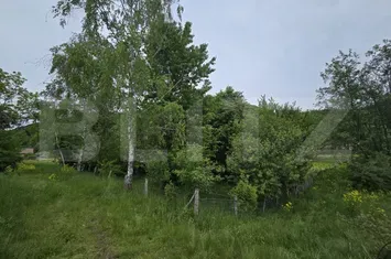 Teren de vanzare CIUCEA - Cluj anunturi imobiliare Cluj