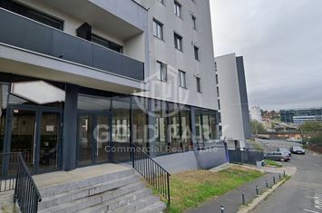 Spatiu Comercial - Zona Dambul Rotund - Trafic pietonal anunturi imobiliare Cluj