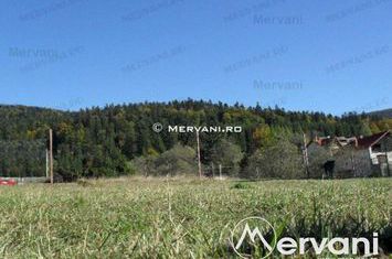 Teren Intravilan de vanzare BUSTENI - Prahova anunturi imobiliare Prahova