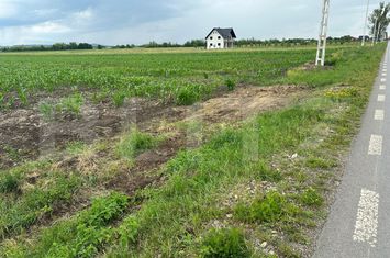 Teren de vanzare FRATAUTII VECHI - Suceava anunturi imobiliare Suceava