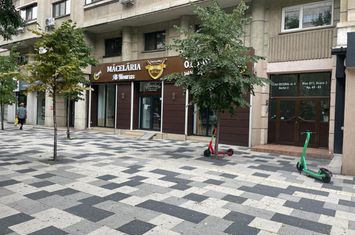 Spațiu comercial de inchiriat DECEBAL - Bucuresti anunturi imobiliare Bucuresti