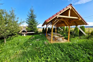 Vilă - 7 camere de vanzare PALTINIS - Sibiu anunturi imobiliare Sibiu