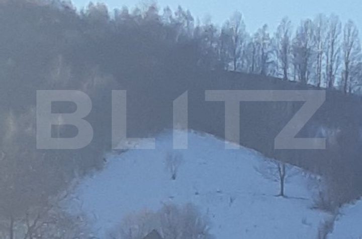 Teren de vanzare BRAN - Brasov anunturi imobiliare Brasov