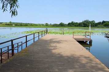 Imobil cu deschidere lac Snagov anunturi imobiliare Bucuresti