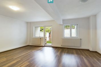 Oportunitate ,duplex  în zona Lipovei – Locuință sau Afacere la Cheie anunturi imobiliare Timis