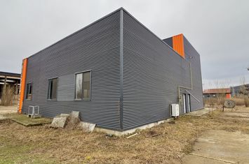 Spațiu industrial de inchiriat IASI - Iasi anunturi imobiliare Iasi