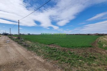 Teren 10.000 mp de vânzare – Balotești – PUZ locuințe anunturi imobiliare Bucuresti