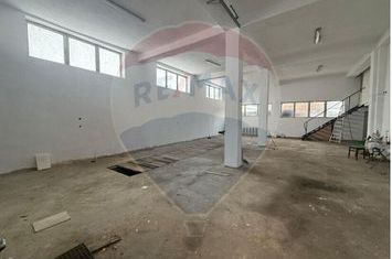 Hala industrială-Inchiriere-Ideală pentru mica productie si depozitare anunturi imobiliare Sibiu