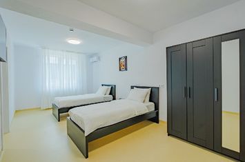 Spațiu comercial de vanzare SEBES - Alba anunturi imobiliare Alba