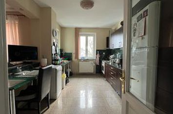 IMOBIL P+1, PRETABIL PENTRU ACTIVITATI ECONOMICE, SOSEAUA TUDOR NECULAI anunturi imobiliare Iasi