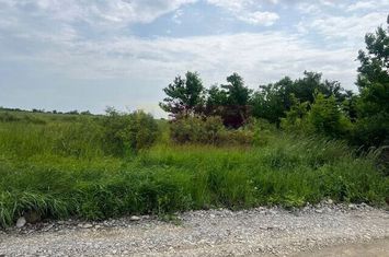 Teren Saftica- strada Albinelor. anunturi imobiliare Bucuresti