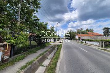 Casă - 15 camere de vanzare BARSESTI - Gorj anunturi imobiliare Gorj