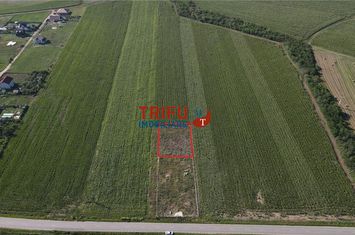 Teren Intravilan de vanzare IGHIU - Alba anunturi imobiliare Alba