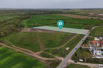 Teren intravilan 5800 mp în Remetea Mare anunturi imobiliare Timis