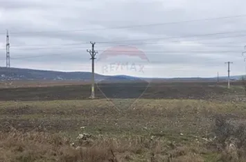 Oportunitate de investiție strategică: Teren extravilan lângă Vaslui!! anunturi imobiliare Vaslui