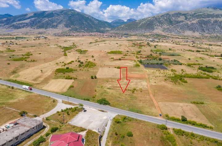 Teren construibil 5.500 mp pe E.O. Drama - Prosotsani anunturi imobiliare Grecia