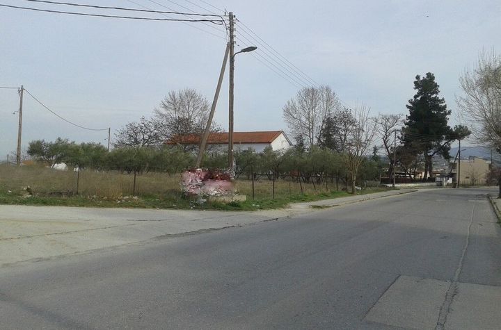Teren construibil 770 mp în Nigrita (centru) anunturi imobiliare Grecia