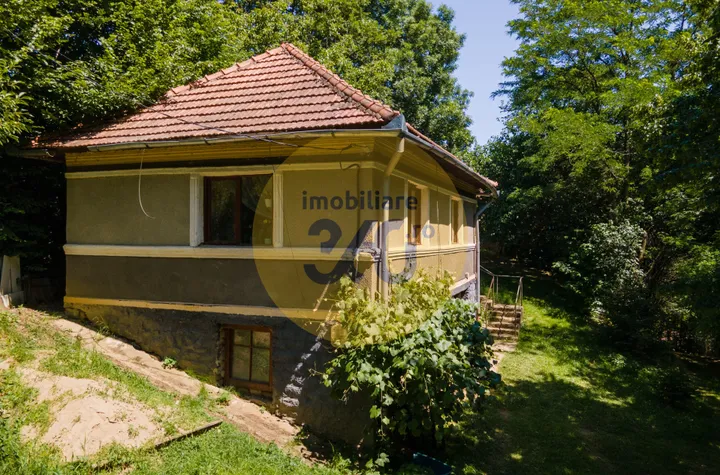 Casă - 3 camere de vanzare BUCEA - Cluj anunturi imobiliare Cluj