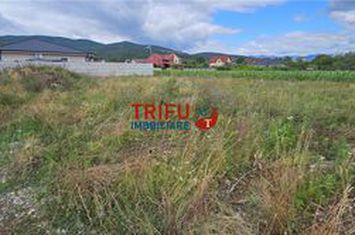 Teren Intravilan de vanzare CENTRAL - Alba anunturi imobiliare Alba