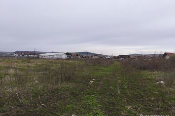 Teren drept  19059 mp - toate utilitățile - asfalt - Sancrai anunturi imobiliare Mures