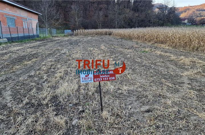 Teren Intravilan de vanzare AMPOITA - Alba anunturi imobiliare Alba