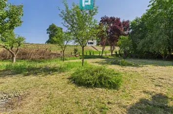 Căsuță de vacanță – cu POTENȚIAL DE INVESTIȚIE! anunturi imobiliare Arad
