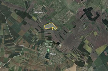 Teren 42 ha pentru parc fotovoltaic – Macea, Arad anunturi imobiliare Arad