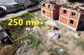 Teren Intravilan de vanzare COMUNA BERCENI - Bucuresti anunturi imobiliare Bucuresti