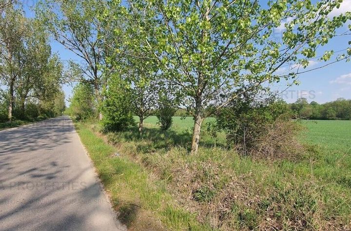 5 loturi de teren langa padure langa lacul Colacu, Dambovita anunturi imobiliare Dambovita
