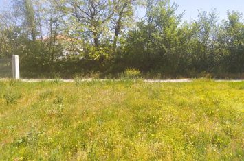 Teren construibil 2.950 mp în Sidirokastro Serres anunturi imobiliare Grecia