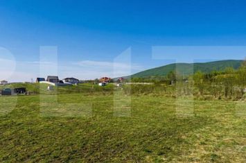 Teren de vanzare REDIU - Cluj anunturi imobiliare Cluj