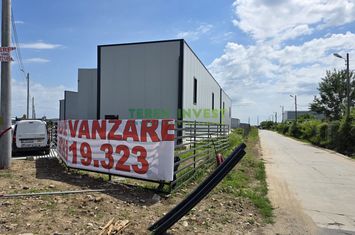 Vânzare hală depozitare - Drumul Între Tarlale anunturi imobiliare Bucuresti