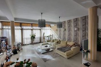 Vanzare vila Damaroaia mobilata/utilata complet anunturi imobiliare Bucuresti