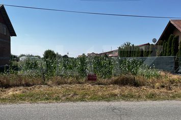 Teren de vanzare SATU MARE - Satu Mare anunturi imobiliare Satu Mare