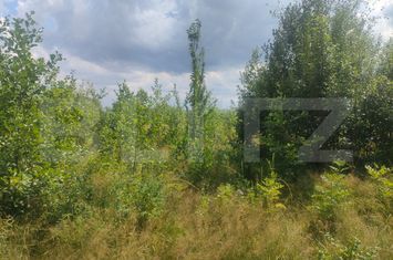 Teren de vanzare HORODNIC - Suceava anunturi imobiliare Suceava