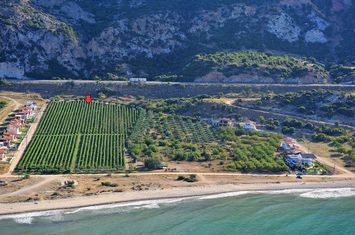 Teren construibil 20.000 mp, primă linie la mare – Kariani anunturi imobiliare Grecia