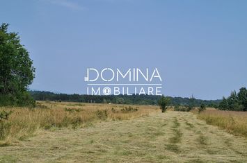 Teren de vanzare RUNCU - Gorj anunturi imobiliare Gorj