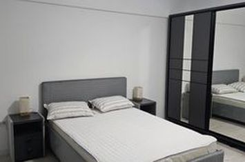 Garsonieră de inchiriat IASI - Iasi anunturi imobiliare Iasi