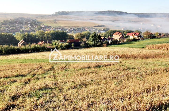 Teren 25.000 mp.  Comuna Voiniceni ,12 euro mp.comision ZERO anunturi imobiliare Mures