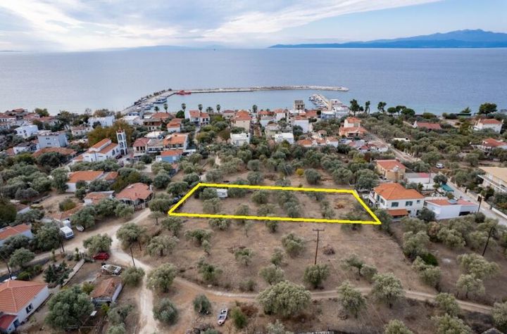 Teren construibil 1193 mp, Skala Kallirachis, 200 m de mare anunturi imobiliare Grecia