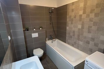 Inchiriere apartament bloc nou 1 camera Tudor Vladimirescu anunturi imobiliare Iasi
