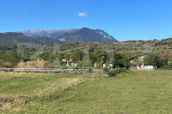 Teren de vanzare BRAN - Brasov anunturi imobiliare Brasov