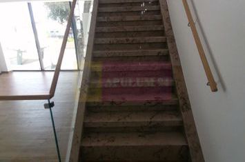 Hala + Birouri Moderne 2025 Zona Pallady anunturi imobiliare Bucuresti